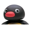 Pingu 15