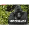 goril babba 10