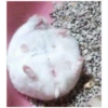 Hamster 🦔😆 18