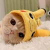 Cute cats 8