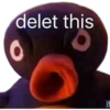 Pingu 16