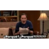 ¿Porqué? ¿Porqué?!?!?!??