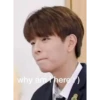 why am here)