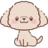 Perrito Bonito 22