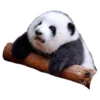 Funny Pandas 9