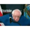 Bernie OF