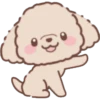 Perrito Bonito 23