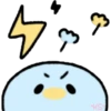 Cute Pets 21
