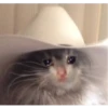 Sad 19
