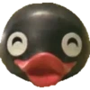 Pingu 19