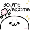 Cute Pets 22
