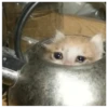 Sad 20
