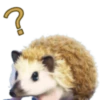 Question face ?️ 21