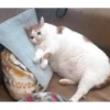 Sad 23