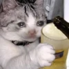 Sad 24