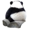 Funny Pandas 10