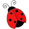 Ladybug🐞❥☯︎ͫ1🇲🇽Clásica 24