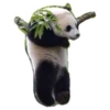 Funny Pandas 12