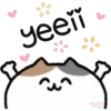 Cute Pets 23