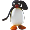 Pingu 22