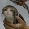 Sad 28