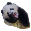 Funny Pandas 14