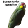 Stickers de Gonzalo 17