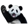 Funny Pandas 15