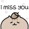 Cute Pets 27
