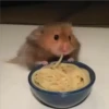 Hamster 🦔😆 30