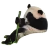 Funny Pandas 17