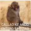 MonosCl 7