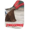 [TRIGGERED]
