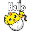 Cute CHICKS 🐣🐤 6