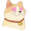 miso the Ikeda Spa kitty 7