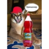 Big Floppa Part 3 (FINAL) 7