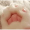 MeowTec 7