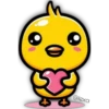 Cute CHICKS 🐣🐤 7