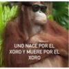 MonosCl 8