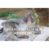MonosCl 9