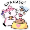 Moxnta pink 7