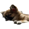 plien + winnie 5