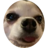 plien + winnie 6