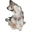 plien + winnie 7