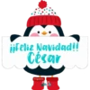 iiFeliz Navidad!! César Karligacion