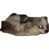 plien + winnie 9