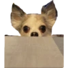 plien + winnie 10