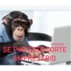 MonosCl 10