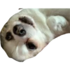 plien + winnie 12