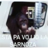 MonosCl 13